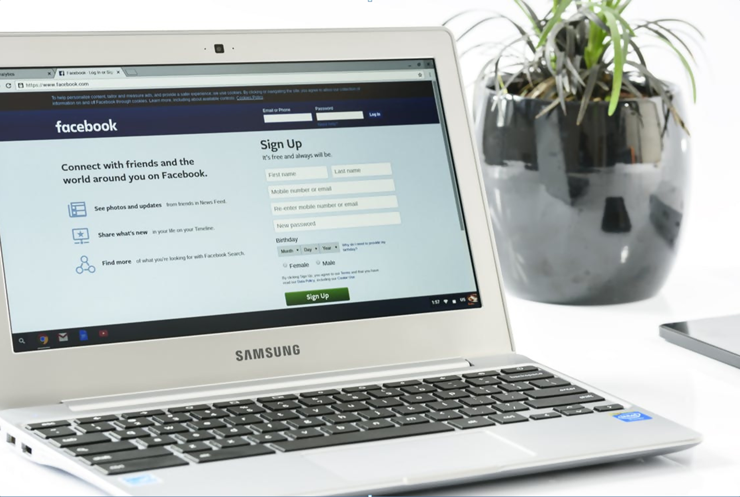 Facebook Advertising Plant Blog